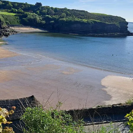 Ferienhaus Mickeys Shed *