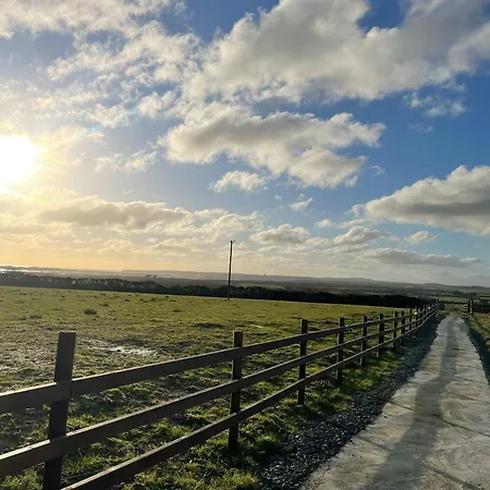 Mickeys Shed Balcynamoyntragh