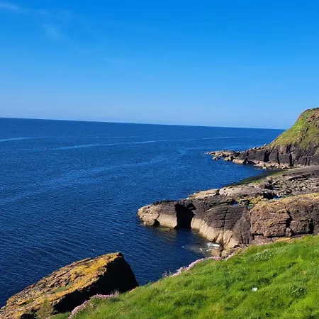 Mickeys Shed Дом отдыха *